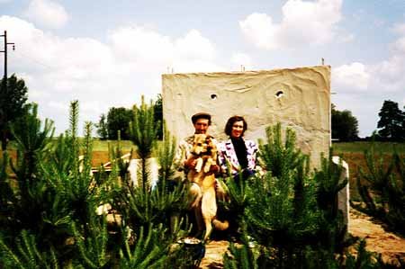 Budowa altanki.jpg (30196 bytes)